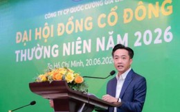 Quốc Cường Gia Lai báo lãi đột biến, thanh toán thêm hơn 100 tỷ đồng cho Sunny Island
