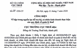 Cục Thuế phát thông báo quan trọng đối với hộ, cá nhân kinh doanh có doanh thu năm dưới 1 tỷ đồng