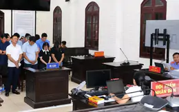 Nguyên Phó Chủ tịch huyện cùng 11 thuộc cấp lĩnh án tù vì đất đai