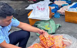 Phát hiện xe tải chở gần 17 tấn trứng non, lòng heo... không rõ nguồn gốc