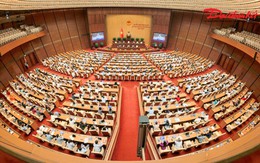 Ngày 10/8, Quốc hội thảo luận 4 dự án luật quan trọng