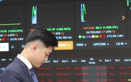 Xác suất thị trường chứng khoán tăng trong tháng 8 ở mức cao, VN-Index hướng đến 1.800 điểm