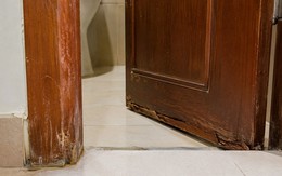Vì sao ngày càng nhiều gia đình không còn làm cửa nhà vệ sinh bằng gỗ? 2 vật liệu chịu ẩm tốt đang dần trở thành xu hướng mới