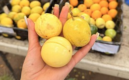 Chợ Việt có 4 thực phẩm màu vàng được ví như “thần dược” mùa thu