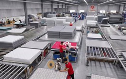 Tuấn Anh Group chính thức được HNX chấp thuận đăng ký giao dịch, 33 triệu cổ phiếu V68 sẽ chào sàn ngày 18/8