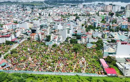 Sổ đỏ trên VNeID không phải 'bảo hiểm pháp lý'