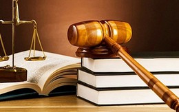Khẩn trương hoàn thành 17 dự án luật, nghị quyết về y tế, thuế, đầu tư, bảo hiểm xã hội, phòng cháy, chữa cháy...
