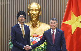 Việt Nam - Singapore phấn đấu đạt 30 VSIP trong năm 2026