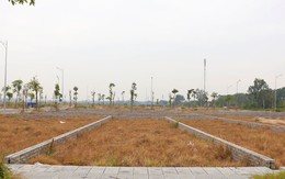 Đất đấu giá Hà Nội: Qua thời “sóng” giá