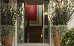 Lưu ý dành cho những gia đình đang trồng cây trước cửa nhà
