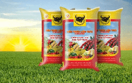 Lợi nhuận “lao dốc”, thù lao nhiều lãnh đạo Phân bón Bình Điền (BFC)  tăng hơn gấp đôi