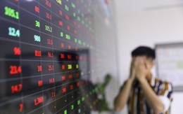 Cổ phiếu DXG bất ngờ tăng cận trần, thanh khoản đột biến trong phiên cuối tuần “rực lửa”
