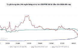 Tỷ giá trung tâm giảm, áp lực USD chưa hạ nhiệt