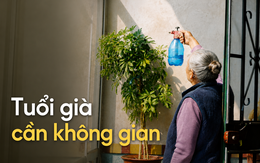 Người phụ nữ 63 tuổi bỏ nhà lớn để lên thành phố dưỡng già, 2 năm sau lại muốn quay về vì 5 điều không ngờ tới
