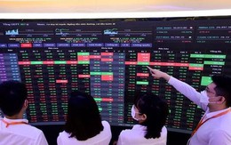 Chuyên gia Mirae Asset gọi tên loạt cổ phiếu đáng chú ý giữa lúc thị trường rung lắc