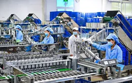Nâng cao năng lực tiếp cận và hấp thụ vốn