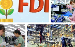 Doanh nghiệp FDI đánh giá cao khả năng R&D, kiến tạo sản phẩm của Việt Nam