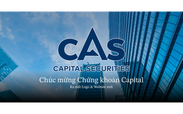 Thêm một công ty chứng khoán lên kế hoạch IPO