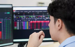 Cổ tức cao không đồng nghĩa lợi nhuận đầu tư cao