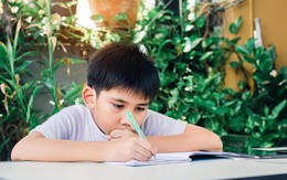 26.000 học sinh được khảo sát hé lộ: Những đứa trẻ có hành động này khi làm bài tập đang phải trả giá đắt