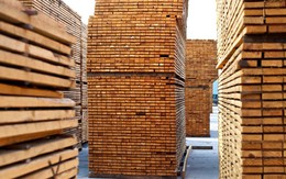 Ngành gỗ bước vào cuộc đua mới: Cạnh tranh bằng năng lực vận hành và tri thức