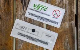 Từ nay người dùng VETC hoặc ePass sẽ bị tính phí hàng tháng: Hơn 6 nghìn đồng/tháng, doanh nghiệp 'mất' gấp 10