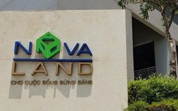 Novaland bán đi một công ty 5.400 tỷ đồng: Xuất hiện Chủ tịch sinh năm 1997