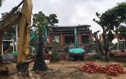 Hà Nội: Hơn 4.000ha đất của các Công ty nông, lâm trường chưa bàn giao