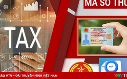 “Làm sạch” 617.000 mã số thuế để minh bạch môi trường kinh doanh