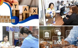 245 hồ sơ hoàn thuế VAT bị kéo dài: Có dấu hiệu rủi ro cao, cần xác minh thông tin