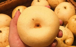 Mùa thu lê ngon rẻ, nhưng có 2 loại quả bị đồn tuyệt đối không nên ăn cùng: Sự thật khiến nhiều người bất ngờ