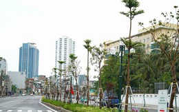 Đề xuất phương án lưu thông trên đường Vành đai 1, đoạn Hoàng Cầu - Voi Phục