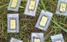 Phát hiện 10 thỏi vàng nặng 280g dưới lớp cỏ một hồ chứa nước, chưa xác định được chủ nhân