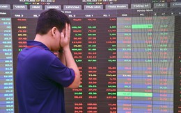 Tổng Giám đốc một doanh nghiệp bị cấm giao dịch 18 tháng vì "mua chui" hàng triệu cổ phiếu