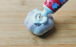 Vì sao ngày càng nhiều gia đình bôi kem đánh răng lên tỏi rồi đặt trong phòng tắm?