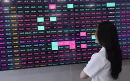 Chứng khoán sau cú rơi mạnh nhất từ đầu năm: Tháng 8 có 'dễ thở' hơn?