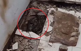 Dỡ sàn bếp, chủ nhà nhìn thấy cảnh tượng nổi da gà bên dưới