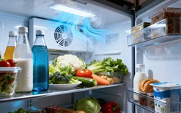 Vì sao không nên để thực phẩm ở ngăn cửa tủ lạnh?