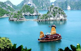 Mỗi địa điểm sẽ có mã định danh 12 chữ số, hiển thị trên VNeID