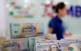 Lãi suất ngân hàng 20/8 tại MB, Sacombank, HDBank, Agribank, Vietcombank, BIDV, VietinBank,...