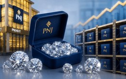 Công an công bố kết quả giám định kim cương của PNJ, cổ phiếu tăng “bốc đầu”