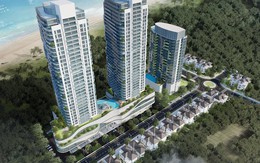 Hodeco bị nhắc nhở vì chậm báo cáo thông tin tài liệu ĐHĐCĐ