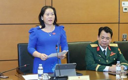 ĐBQH đề xuất giảm thuế thu nhập, nâng mức giảm trừ với người 'làm công ăn lương'