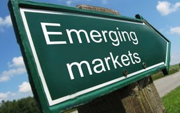 Bao nhiêu cổ phiếu ngân hàng lọt rổ FTSE Global Equity Index Series (GEIS)?