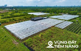 Toàn cảnh khu đất ven sông Hồng, nơi có thể xây tháp đôi nhiều tầng nhất thế giới, diện tích sàn gấp hơn 2 lần Burj Khalifa