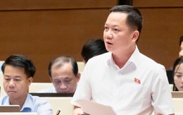 Đại biểu Quốc hội đề nghị định danh hành vi thao túng thị trường bất động sản