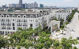 Một thành viên nhóm Lã Vọng được thuê 7.400 m2 đất xây trường học tại Hà Nội