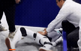 Robot mất kiểm soát, quẫy đạp dữ dội tại Hội nghị Robot Thế giới ở Trung Quốc