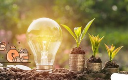 Lịch chốt quyền trả cổ tức trong tuần từ ngày 24/8-28/8, tỷ lệ cao nhất hơn 44%