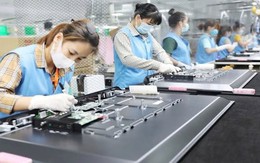 Không phải Mỹ hay Trung Quốc, Việt Nam là quốc gia đầu tiên trên thế giới làm điều này
